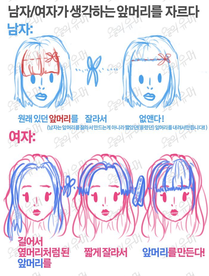 앞머리를 자르다 ← 에 대한 남/여의 생각 차이 | 인스티즈
