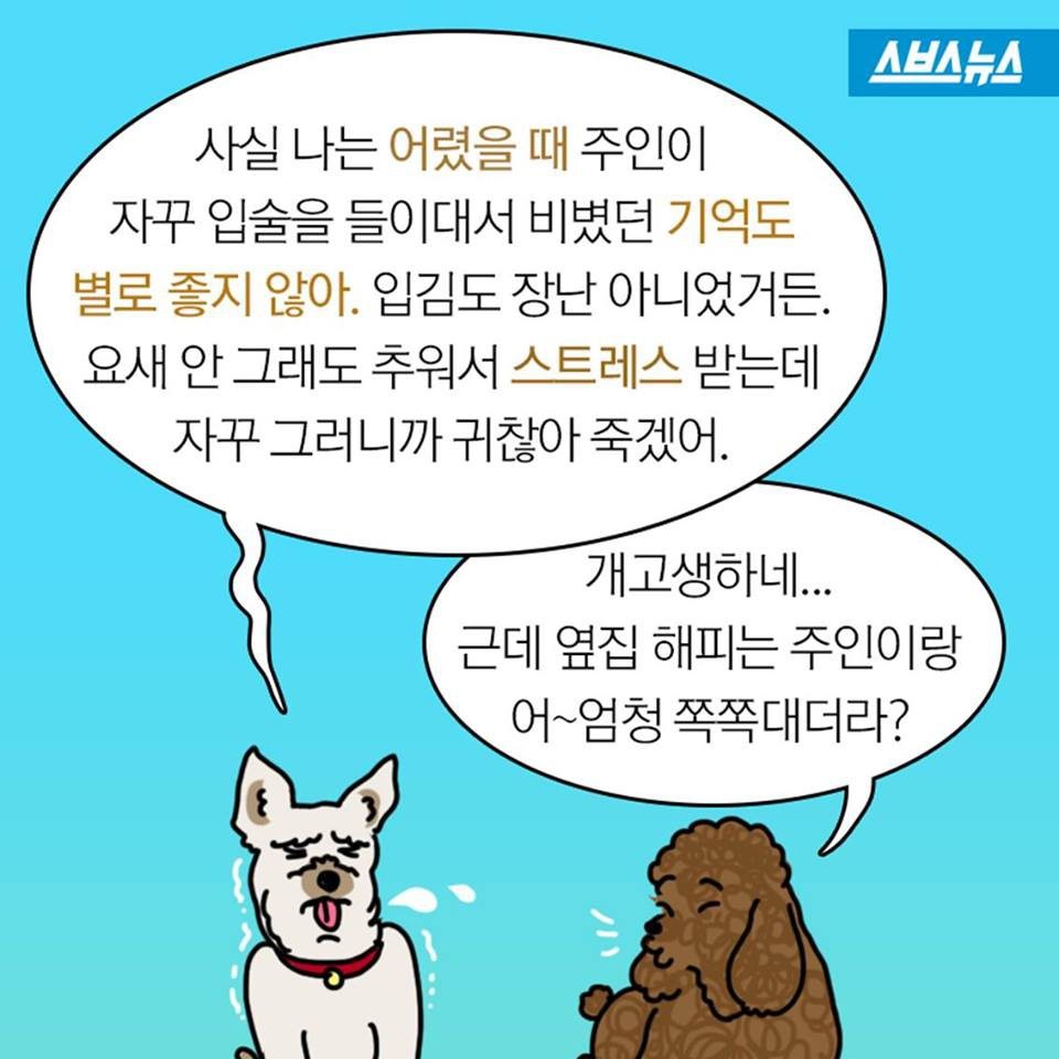 개들이 뽀뽀를 피하는 이유.jpg | 인스티즈