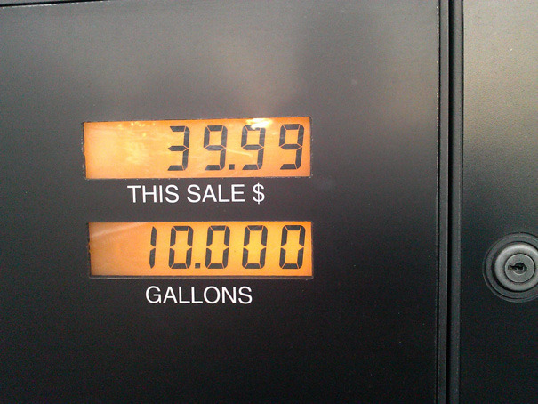 보면 편안해지고 마음이 안정되는 사진들.jpg | 인스티즈