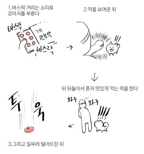 멍뭉이에게 약을 쉽게 먹이는 방법 | 인스티즈