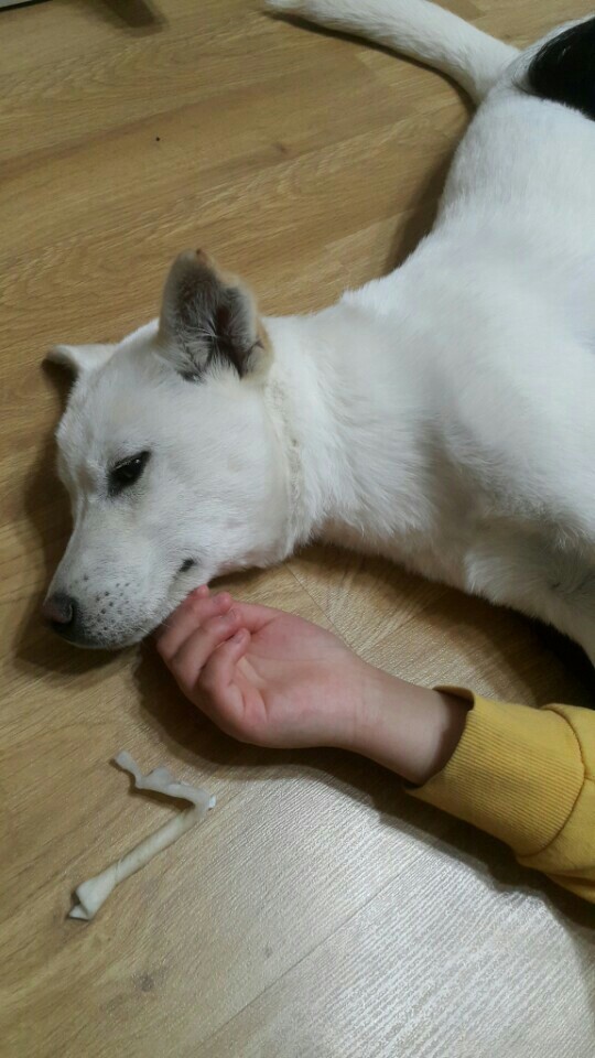 피해자만 고통받고 상처받고 괴로워야하는 이상한 나라에서 저는 피해자가 되었습니다(매실이이야기) | 인스티즈