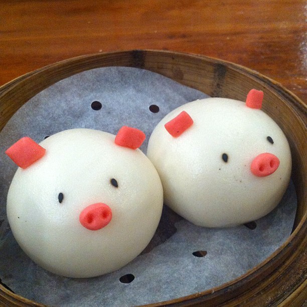 조금 특별한 모양의 디저트 데이터주의 | 인스티즈