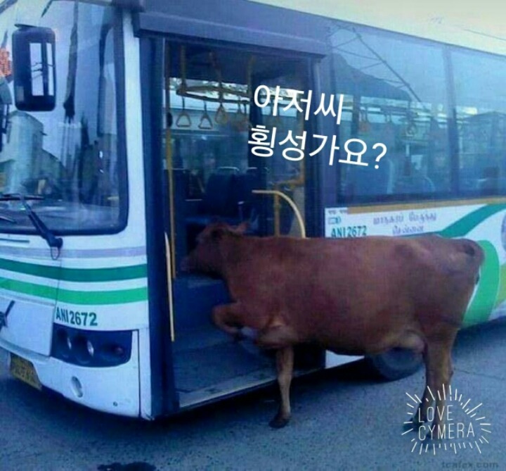 횡성 이미지