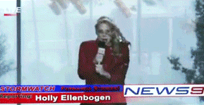외국의 박대기 기자 | 인스티즈