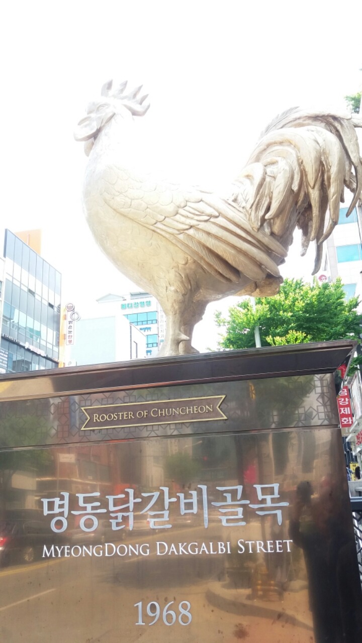 춘천소양강닭갈비 이미지