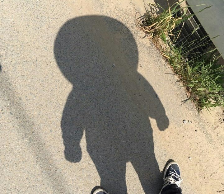 디시 시계갤 도라에몽사건 | 인스티즈