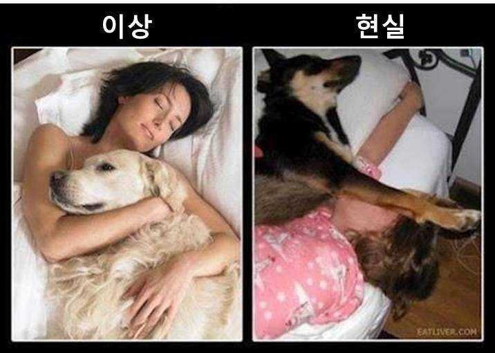 이상과 현실의 차이 | 인스티즈