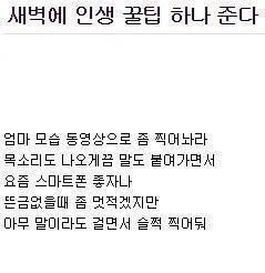 아는 사람들은 이미 안다는 인생 꿀팁 | 인스티즈