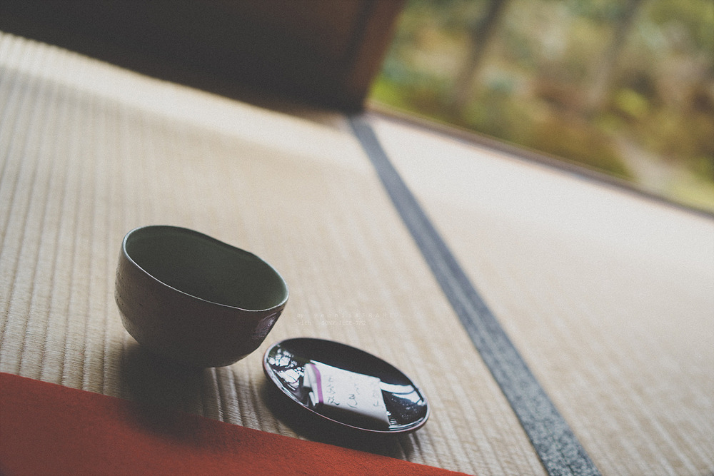 스냅사진 위주의 유치진지한 여행기 - 오사카&교토 (3) | 인스티즈