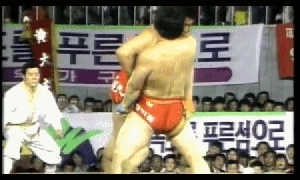 강호동 전성기 시절 신체 스펙.JPG | 인스티즈