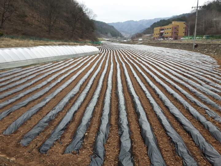 귀한왕족발 이미지
