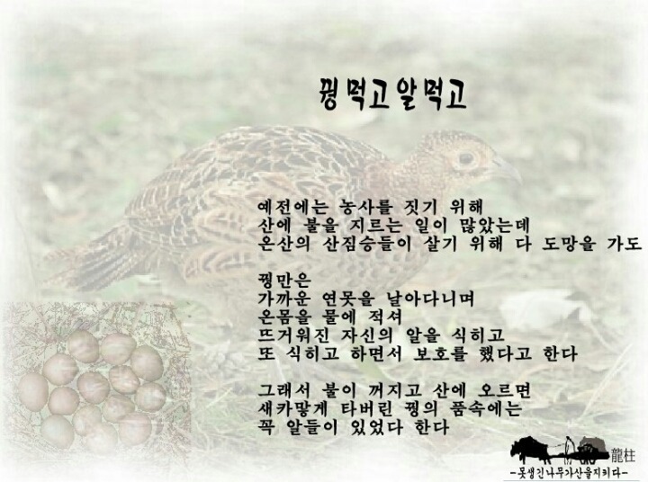 꿩먹고알먹고 이미지