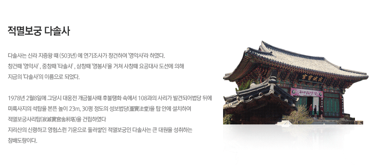 갈대이야기 이미지