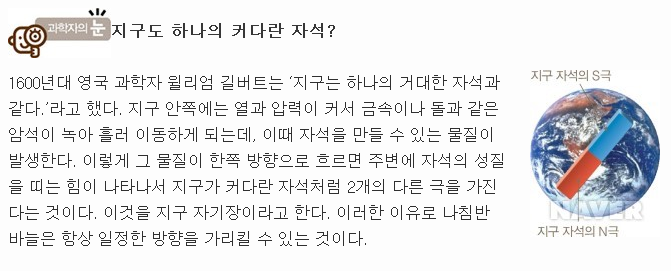 만취한 나도 집은 제대로 찾는 것처럼.jpg | 인스티즈