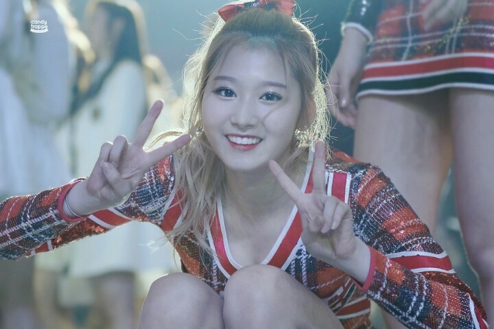트와이스 미사나 | 인스티즈