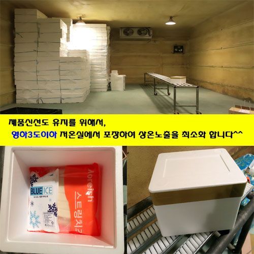 모리쉬 이미지