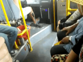 내가 발로 해도 너보다는 운전 잘하겠다.gif | 인스티즈