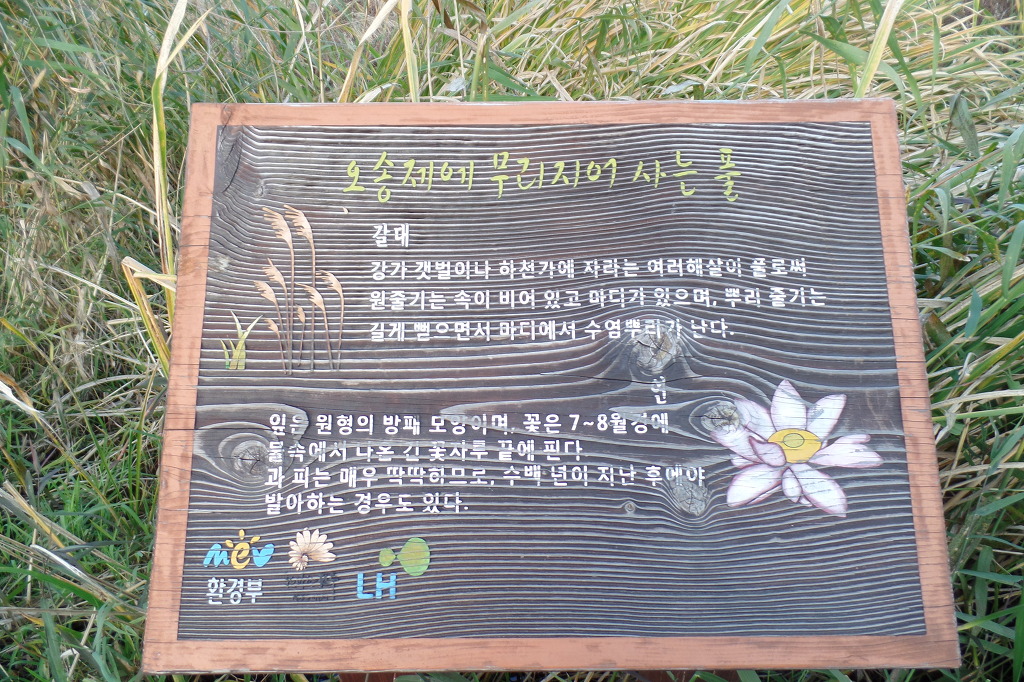 전주 오송제 호수에 비추인 동화 속 가을 풍경 사진을 전체 확대한 모습 감상 | 인스티즈