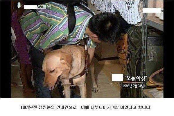 세상에서 가장 아름다운 이별 | 인스티즈