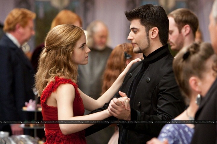 헤르미온느와 가장 잘어울리는사람은? | 인스티즈