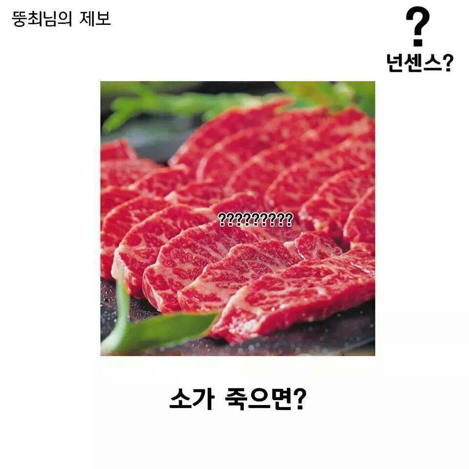 이중에 하나라도 안웃기면 한국 떠납니다 ㅋㅋㅋㅋㅋㅋㅋㅋㅋㅋㅋㅋㅋ | 인스티즈