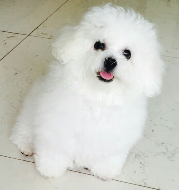 옹식구 이미지
