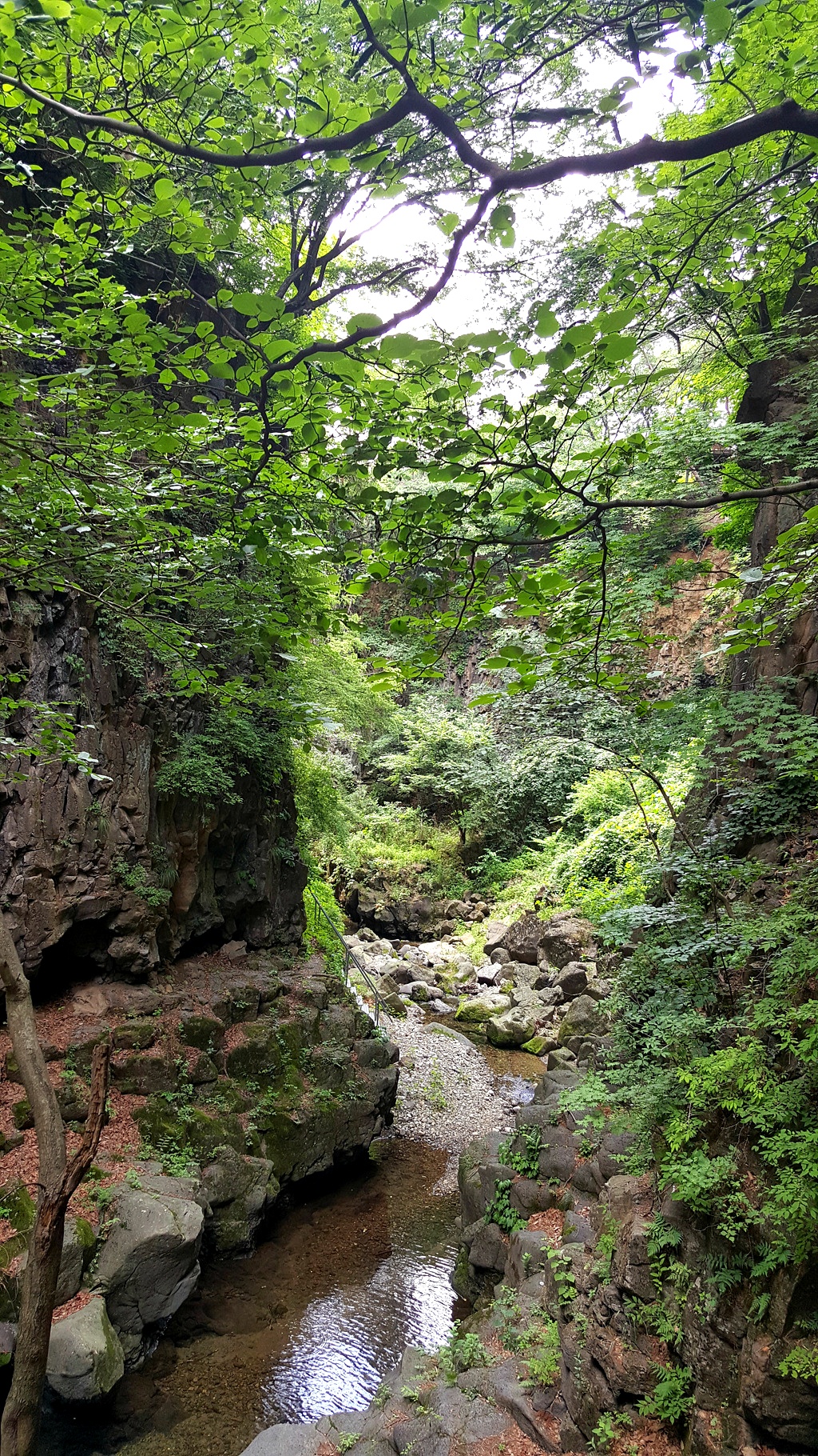 [스님자랑기] 대학교 답사 다녀온게 자랑(공부주의) | 인스티즈