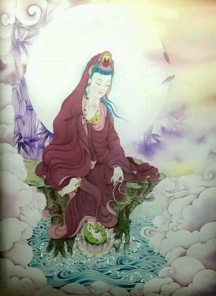 유도리 이미지