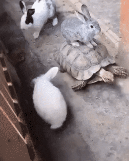 ??? : "널 꼭 보고싶어하는 분이 계셔”.,gif | 인스티즈