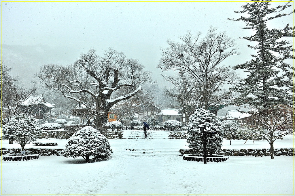 삼천배 이미지