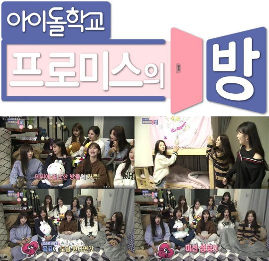 아이돌 리얼리티치고 시청자들한테 재밌다고 호평 받는 프로그램 | 인스티즈