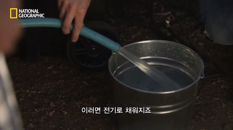 수박 안에 1만 볼트를 내보내면 생기는 일 | 인스티즈