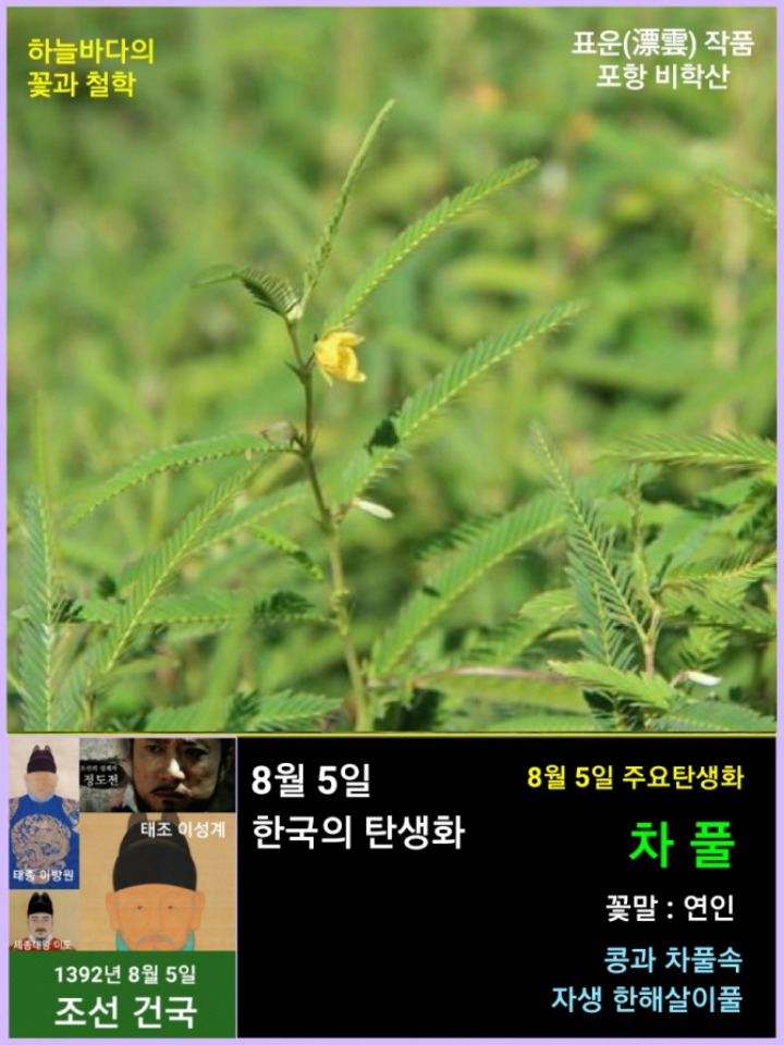 팥사랑 이미지
