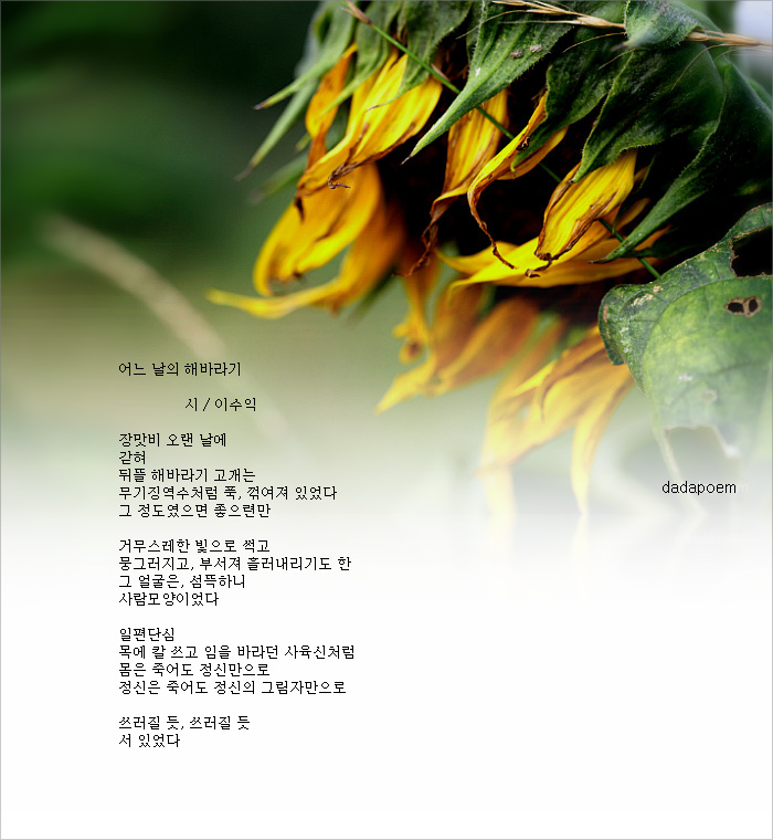 어느날 이미지