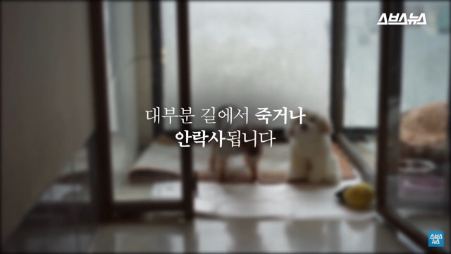  사람들이 홍대에서 인형을 뽑다 우는 이유는? | 인스티즈