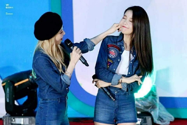 별콩 이미지