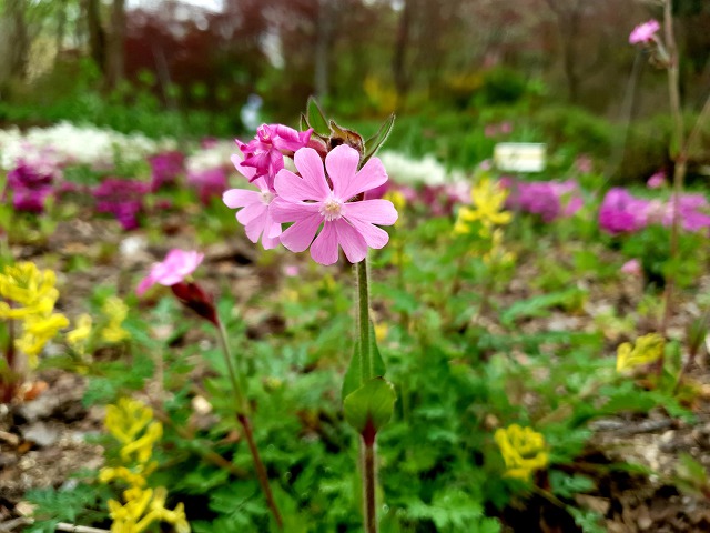 9921EB3D5CBD0F02319448