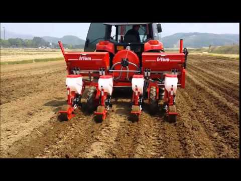 서울 사람들은 모르는 옥수수 심는법 | 인스티즈