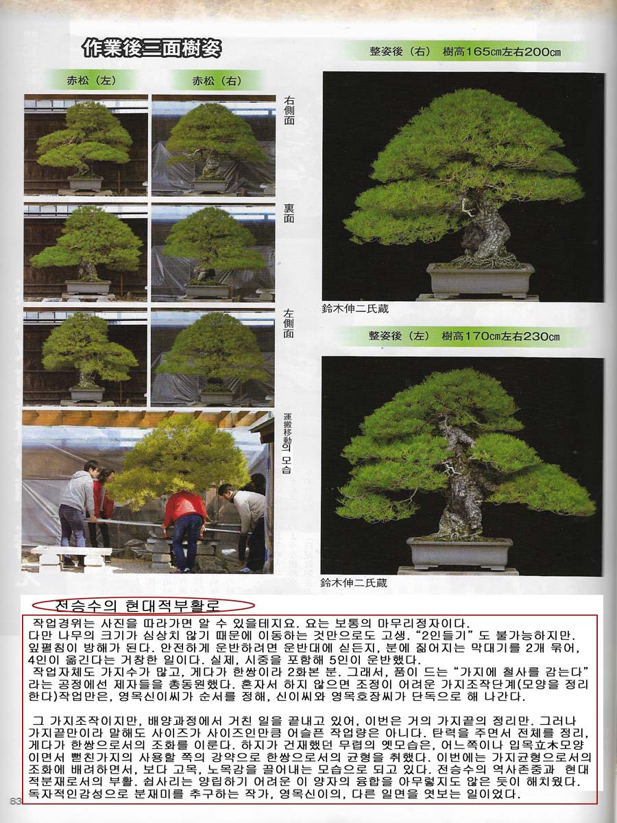 소나무기획 이미지