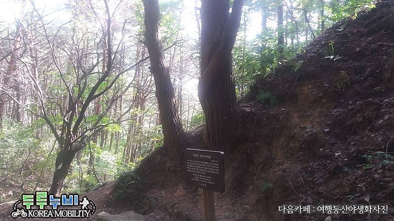 운봉농업협동조합하나로마트 이미지