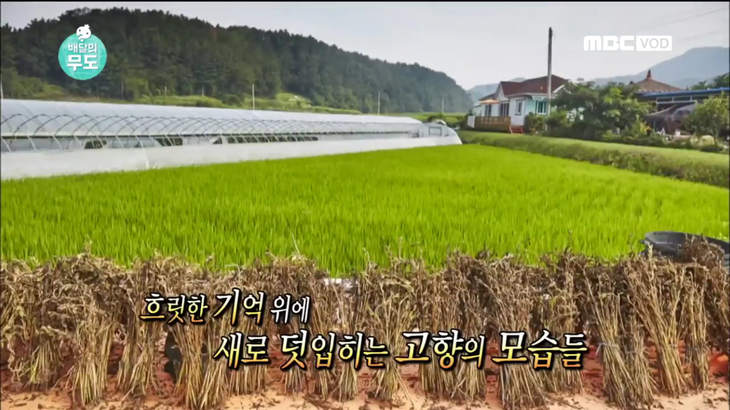 8살때 떠나온 고향을 영상과 사진으로 만나는 할머님 | 인스티즈