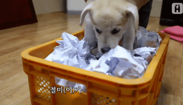 짱절미(이)가 입장하셨습니다.gif | 인스티즈