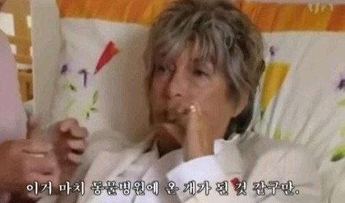 스위스의 조력자살 | 인스티즈