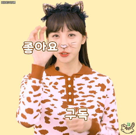 냥이 코커 김민아 | 인스티즈
