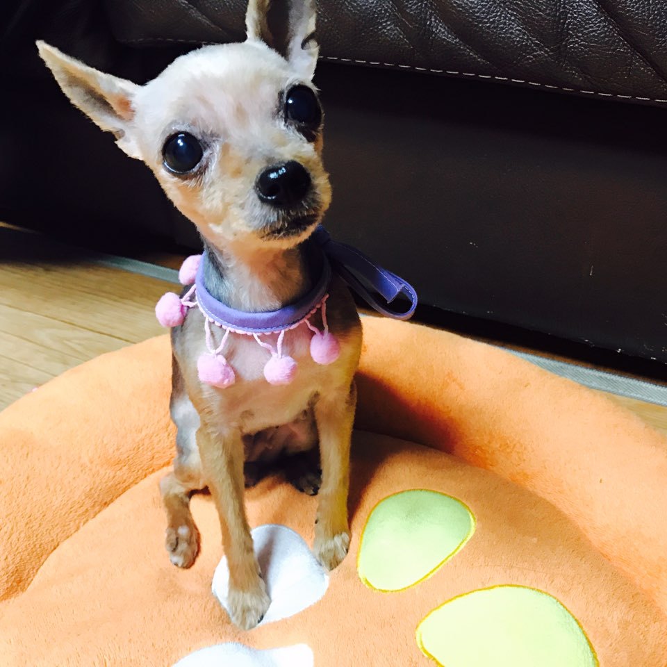 몽이미용실 이미지