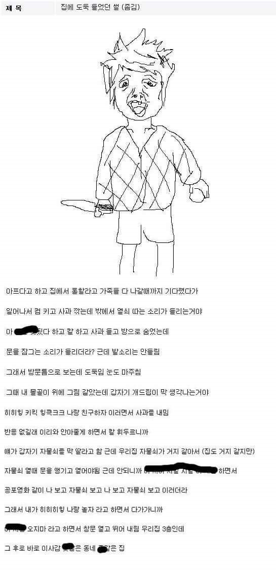집에 도둑든 썰 | 인스티즈
