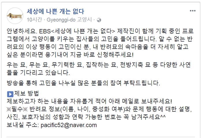 세상에 나쁜 고양이는 없다 편성하신대!!!!!!!!!!!!! | 인스티즈