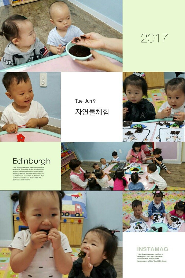 나무향기 이미지