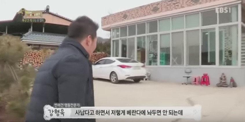 관리 못하겠으면 키우지도 마라 | 인스티즈