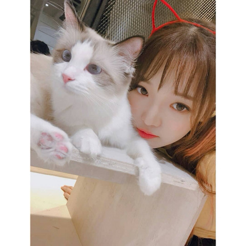 냥이까페간 프로미스 나인 | 인스티즈